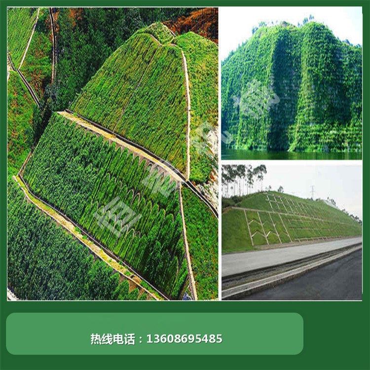 河南恒睿園林綠化工程 從小區邊坡到垃圾填埋場的專業施工方案