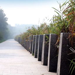 中邦園林兩項工程榮膺2018年度中國園林綠化優秀施工項目